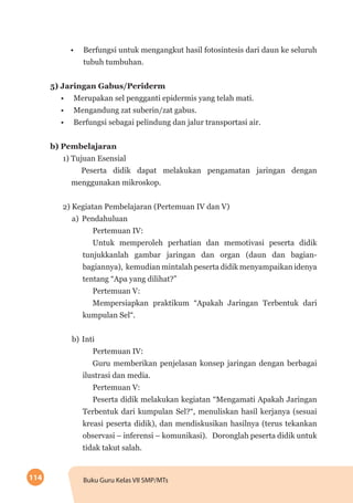 114 Buku Guru Kelas VII SMP/MTs
•	 Berfungsi untuk mengangkut hasil fotosintesis dari daun ke seluruh
tubuh tumbuhan.
5) Jaringan Gabus/Periderm
•	 Merupakan sel pengganti epidermis yang telah mati.
•	 Mengandung zat suberin/zat gabus.
•	 Berfungsi sebagai pelindung dan jalur transportasi air.
b) Pembelajaran
1) Tujuan Esensial
Peserta didik dapat melakukan pengamatan jaringan dengan
menggunakan mikroskop.
2) Kegiatan Pembelajaran (Pertemuan IV dan V)
a)	Pendahuluan
Pertemuan IV:
Untuk memperoleh perhatian dan memotivasi peserta didik
tunjukkanlah gambar jaringan dan organ (daun dan bagian-
bagiannya), kemudian mintalah peserta didik menyampaikan idenya
tentang “Apa yang dilihat?”
Pertemuan V:
Mempersiapkan praktikum “Apakah Jaringan Terbentuk dari
kumpulan Sel“.
b)	Inti
Pertemuan IV:
Guru memberikan penjelasan konsep jaringan dengan berbagai
ilustrasi dan media.
Pertemuan V:
Peserta didik melakukan kegiatan “Mengamati Apakah Jaringan
Terbentuk dari kumpulan Sel?“, menuliskan hasil kerjanya (sesuai
kreasi peserta didik), dan mendiskusikan hasilnya (terus tekankan
observasi – inferensi – komunikasi). Doronglah peserta didik untuk
tidak takut salah.
 