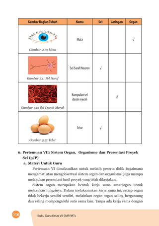 118 Buku Guru Kelas VII SMP/MTs
Gambar BagianTubuh Nama Sel Jaringan Organ
Gambar 4.10 Mata
Mata √
Gambar 5.11 Sel Saraf
Sel Saraf/Neuron √
Gambar 5.12 Sel Darah Merah
Kumpulan sel
darah merah
√
Gambar 5.13 Telur
Telur √
6.	Pertemuan VII: Sistem Organ, Organisme dan Presentasi Proyek
Sel (3JP)
a.	Materi Untuk Guru
Pertemuan VI dimaksudkan untuk melatih peserta didik bagaimana
mengamati atau mengobservasi sistem organ dan organisme, juga mampu
melakukan presentasi hasil proyek yang telah dikerjakan.
Sistem organ merupakan bentuk kerja sama antarorgan untuk
melakukan fungsinya. Dalam melaksanakan kerja sama ini, setiap organ
tidak bekerja sendiri-sendiri, melainkan organ-organ saling bergantung
dan saling mempengaruhi satu sama lain. Tanpa ada kerja sama dengan
 