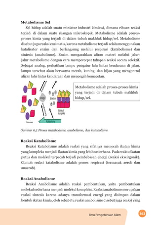 163Ilmu Pengetahuan Alam
Metabolisme Sel
Sel hidup adalah suatu miniatur industri kimiawi, dimana ribuan reaksi
terjadi di dalam suatu ruangan mikroskopik. Metabolisme adalah proses-
proses kimia yang terjadi di dalam tubuh makhluk hidup/sel. Meta­bolisme
disebut juga reaksi enzimatis, karena metabolisme ter­jadi selalu menggunakan
katalisator enzim dan berlangsung melalui respirasi (katabolisme) dan
sintesis (anabolisme). Enzim mengarahkan aliran materi melalui jalur-
jalur metabolisme dengan cara mempercepat tahapan reaksi secara selektif.
Sebagai analog, perhatikan lampu pengatur lalu lintas kendaraan di jalan,
lampu tersebut akan berwarna merah, kuning, dan hijau yang mengontrol
aliran lalu lintas kendaraan dan mencegah kemacetan.
	
Metabolisme adalah proses-proses kimia
yang terjadi di dalam tubuh makhluk
hidup/sel.
Gambar 6.5 Proses metabolisme, anabolisme, dan katabolisme
Reaksi Katabolisme
Reaksi Katabolisme adalah reaksi yang sifatnya memecah ikatan kimia
yang kompleks menjadi ikatan kimia yang lebih sederhana. Pada waktu ikatan
putus dan molekul terpecah terjadi pembebasan energi (reaksi ekseirgonik).
Contoh reaksi katabolisme adalah proses respirasi (termasuk aerob dan
anaerob).
Reaksi Anabolisme
Reaksi Anabolisme adalah reaksi pembentukan, yaitu pembentukan
molekul sederhana menjadi molekul kompleks. Reaksi anabolisme merupakan
reaksi sintesis karena adanya transformasi energi yang disimpan dalam
bentuk ikatan kimia, oleh sebab itu reaksi anabolisme disebut juga reaksi yang
 