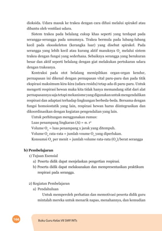 166 Buku Guru Kelas VII SMP/MTs
dioksida. Udara masuk ke trakea dengan cara difusi melalui spirakel atau
dibantu oleh ventilasi udara.
Sistem trakea pada belalang cukup khas seperti yang terdapat pada
serangga-serangga pada umumnya. Trakea bermula pada lubang-lubang
kecil pada eksoskeleton (kerangka luar) yang disebut spirakel. Pada
serangga yang lebih kecil atau kurang aktif masuknya O2
melalui sistem
trakea dengan fungsi yang sederhana. Sebaiknya serangga yang berukuran
besar dan aktif seperti belalang dengan giat melakukan pertukaran udara
dengan trakeanya.
Kontraksi pada otot belalang memipihkan organ-organ kendur,
pernapasan ini dikenal dengan pernapasan vital paru-paru dan pada titik
ekspirasi maksimum kira-kira (udara residu) tetap ada di paru-paru. Untuk
mengerti respirasi hewan maka kita tidak hanya memandang sifat dari alat
pernapasannyasajatetapimekanismeyangdigunakanuntukmengendalikan
respirasi dan adaptasi terhadap lingkungan berbeda-beda. Bersama dengan
fungsi homoiostatik yang lain, respirasi hewan harus diintegrasikan dan
dikoordinasikan dengan kegiatan pengendalian yang lain.
Untuk perhitungan menggunakan rumus:
Luas penampang lingkaran (A) = π. r2
Volume O2
= luas penampang x jarak yang ditempuh.
Volume O2
rata-rata = jumlah voume O2
yang diperlukan.
Konsumsi O2
per menit = jumlah volume rata-rata (O2
)/berat serangga
b)	Pembelajaran
1) Tujuan Esensial
a)	Peserta didik dapat menjelaskan pengertian respirasi.
b) Peserta didik dapat melaksanakan dan mempresentasikan praktikum
respirasi pada serangga.
2) Kegiatan Pembelajaran
a)	Pendahuluan
Untuk memperoleh perhatian dan memotivasi peserta didik guru
mintalah mereka untuk menarik napas, menahannya, dan kemudian
 