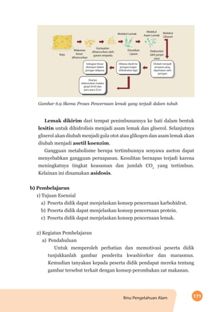 171Ilmu Pengetahuan Alam
Gambar 6.9 Skema Proses Pencernaan lemak yang terjadi dalam tubuh
Lemak dikirim dari tempat penimbunannya ke hati dalam bentuk
lesitin untuk dihidrolisis menjadi asam lemak dan gliserol. Selanjutnya
gliserol akan diubah menjadi gula otot atau glikogen dan asam lemak akan
diubah menjadi asetil koenzim.
Gangguan metabolisme berupa tertimbunnya senyawa aseton dapat
me­­nyebabkan gangguan pernapasan. Kesulitan bernapas terjadi karena
meningkatnya tingkat keasaman dan jumlah CO2
yang tertimbun.
Kelainan ini dinamakan asidosis.
b)	Pembelajaran
1) Tujuan Esensial
a)	 Peserta didik dapat menjelaskan konsep pencernaan karbohidrat.
b)	Peserta didik dapat menjelaskan konsep pencernaan protein.
c)	 Peserta didik dapat menjelaskan konsep pencernaan lemak.
2) Kegiatan Pembelajaran
a)	Pendahuluan
Untuk memperoleh perhatian dan memotivasi peserta didik
tunjukkanlah gambar penderita kwashiorkor dan marasmus.
Kemudian tanyakan kepada peserta didik pendapat mereka tentang
gambar tersebut terkait dengan konsep perombakan zat makanan.
 