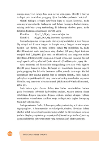 176 Buku Guru Kelas VII SMP/MTs
mampu menyerap cahaya biru dan merah kejinggaan. Klorofil b banyak
terdapat pada tumbuhan, ganggang hijau, dan beberapa bakteri autotrof.
Klorofil terdapat sebagai butir-butir hijau di dalam kloroplas. Pada
umumnya kloroplas itu berbentuk oval, bahan dasarnya disebut stroma,
sedang butir-butir yang terkandung di dalamnya disebut grana. Pada
tanaman tinggi ada dua macam klorofil, yaitu:
klorofil-a : C55H72
O5
N4
Mg, berwarna hijau tua
klorofil-b : C55H70
O6
N4
Mg, berwarna hijau muda
Rumus bangunnya berupa suatu cincin yang terdiri atas 4 pirol dengan
Mg sebagai inti. Rumus bangun ini hampir serupa dengan rumus bangun
haemin (zat darah), di mana intinya bukan Mg melainkan Fe. Pada
klorofil,terdapat suatu rangkaian yang disebut fitil yang dapat terlepas
menjadi fitol C2
H39OH, jika kena air (hidrolisis) dan pengaruh enzim
klorofilase. Fitol itu lipofil (suka asam lemak), sedangkan biasanya disebut
rangka porfin, sifatnya hidrofil (suka akan air) (Dwidjoseputro, 1994:18).
Pada umumnya sel fotosintesis mengandung satu atau lebih pigmen
klorofil yang berwarna hijau. Berbagai sel fotosintesis lainnya seperti
pada ganggang dan bakteria berwarna coklat, merah, dan ungu. Hal ini
disebabkan oleh adanya pigmen lain di samping klorofil, yaitu pigmen
pelengkap, seperti karotinoid yang berwarna kuning, merah atau ungu dan
fikobilin yang berwarna biru atau merah (Muhammad Wirahadikusumah,
1985: 99).
Pada tahun 1962, Gustav Julius Von Sachs, membuktikan bahwa
pada fotosintesis terbentuk karbohidrat amilum. Adanya amilum dapat
dibuktikan dengan pengujian dengan yodium, amilum dengan yodium
memberikan warna hitam. Amilum hanya terdapat pada bagian daun yang
hijau dan terkena sinar.
Pada percobaaan Sachs, A daun yang sebagian tertutup x, terkena sinar
sepanjang hari. B daun tersebut setelah dipetik, direbus, direndam dalam
alkohol untuk melarutkan klorofilnya dan setelah itu dicelup dalam larutan
yodium. Bagian yang tertutup tampak putih (berarti tanpa amilum), sedang
daerah sekitarnya berwarna hitam yang menunjukkan adanya amilum.
 