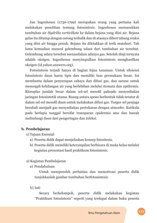 177Ilmu Pengetahuan Alam
Jan Ingenhousz (1730-1799) merupakan orang yang pertama kali
melakukan penelitian tentang fotosintesis. Ingenhousz memasukkan
tumbuhan air Hydrilla verticillata ke dalam bejana yang diisi air. Bejana
gelas itu ditutup dengan corong terbalik dan di atasnya diberi tabung reaksi
yang diisi air hingga penuh. Bejana itu diletakkan di terik matahari. Tak
lama kemudian muncul gelembung udara dari tumbuhan air tersebut.
Gelembung udara tersebut menandakan adanya gas. Setelah diuji ternyata
adalah oksigen. Ingenhousz menyimpulkan fotosintesis menghasilkan
oksigen (id.yahoo.answers.org).
Fotosintesis terjadi hanya di bagian hijau tanaman. Untuk efisiensi
fotosintesis daun harus tipis dan memiliki luas permukaan besar. Ini
membantu dalam penyerapan cahaya dan difusi gas, dan sarana untuk
mencegah kehilangan air yang berlebihan melalui stomata dan epidermis.
Kloroplas jumlah besar dalam sel-sel mesofil palisade menyediakan
jaringan fotosintetik utama. Ruang antara spons berbentuk tidak teratur di
dalam sel-sel mesofil daun untuk melakukan difusi gas. Turgor sel penjaga
berubah menjadi gas menyediakan pertukaran dengan atmosfer. Kutikula
pada berlapis tunggal bersifat transparan epidermis atas dan bawah
melindungi daun dari pengeringan dan infeksi.
b.	Pembelajaran
1) Tujuan Esensial
a)	 Peserta didik dapat menjelaskan konsep fotositesis.
b)	Peserta didik memiliki keterampilan berbicara di muka kelas melalui
kegiatan presentasi hasil praktikum fotosintesis.
2) Kegiatan Pembelajaran
a)	 Pendahuluan
Untuk memperoleh perhatian dan memotivasi peserta didik
tunjukkanlah gambar tumbuhan berfotosintesis.
b)	Inti
Secara berkelompok, peserta didik melakukan kegiatan
“Praktikum fotosintesis” seperti yang terdapat dalam buku peserta
 