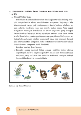 228 Buku Guru Kelas VII SMP/MTs
4.	Pertemuan III: Interaksi dalam Ekosistem Membentuk Suatu Pola
(2 JP)
a.	Materi Untuk Guru
Pertemuan III dimaksudkan untuk melatih peserta didik tentang pola-
pola yang terbentuk selama interaksi antara komponen lingkungan. Bila
kita mengamati bagian kecil ekosistem seperti pada kegiatan sebelumnya,
atau seluruh ekosistem yang luas seperti lautan, maka Anda dapat
mengetahui hubungan keterkaitan di antara organisme yang terdapat
dalam ekosistem tersebut. Setiap organisme tersebut tidak dapat hidup
sendiri dan selalu bergantung pada organisme yang lain dan lingkungannya.
Saling ketergantungan ini akan membentuk suatu pola interaksi. Terjadi
pula interaksi antara komponen biotik serta komponen abiotik dan terjadi
interaksi antara komponen biotik dan biotik.
Interkasi tersebut dapat berupa:
1)	Interaksi antara makhluk hidup dengan makhluk hidup lainnya
dapat terjadi melalui rangkaian peristiwa makan dan dimakan (rantai
makanan, jaring makanan dan piramida makanan), maupun melalui
bentuk hidup bersama, yaitu simbiosis.
Gambar 9.3. Rantai Makanan
 