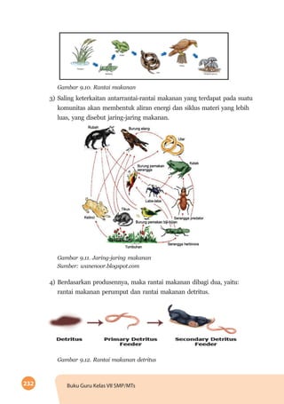 232 Buku Guru Kelas VII SMP/MTs
Gambar 9.10. Rantai makanan
3)	Saling keterkaitan antarrantai-rantai makanan yang terdapat pada suatu
komunitas akan membentuk aliran energi dan siklus materi yang lebih
luas, yang disebut jaring-jaring makanan.
Gambar 9.11. Jaring-jaring makanan
Sumber: wanenoor.blogspot.com
4)	Berdasarkan produsennya, maka rantai makanan dibagi dua, yaitu:
rantai makanan perumput dan rantai makanan detritus.
Gambar 9.12. Rantai makanan detritus
 