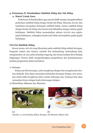 37Ilmu Pengetahuan Alam
3. Pertemuan II: Membedakan Makhluk Hidup dan Tak Hidup
a.	Materi Untuk Guru
Pertemuan II dimaksudkan agar peserta didik mampu mengidentifikasi
perbedaan makhluk hidup dengan benda tak hidup. Manusia, hewan, dan
tumbuhan merupakan kelompok makhluk hidup. Antara makhluk hidup
dengan benda tak hidup atau benda mati dibedakan dengan adanya gejala
kehidupan. Makhluk hidup menunjukkan adanya ciri-ciri atau gejala-
gejala kehidupan, sedangkan benda mati tidak menunjukkan gejala-gejala
kehidupan.
Ciri-Ciri Makhluk Hidup
Secara umum, ciri-ciri yang ditemukan pada makhluk hidup adalah bernapas,
bergerak, makan dan minum, tumbuh dan berkembang, berkembang biak,
mengeluarkan zat sisa, peka terhadap rangsang, dan menyesuaikan diri terhadap
lingkungan. Peserta didik mengembangkan pengetahuan dan pemahamannya
melalui pengamatan dalam berdiskusi.
1)	 Bernapas
Setiap saat kita bernapas, yaitu menghirup oksigen dan mengeluarkan kar-
bon dioksida. Kita dapat merasakan kebutuhan bernapas dengan cara mena-
han untuk tidak menghirup udara selama beberapa saat. Tentunya kita akan
merasakan lemas sebagai tanda kekurangan oksigen.
2) Memerlukan Makanan dan Minuman
	 (a) (b)
Gambar 2.1 (a) Kambing Makan Rumput; (b) Manusia Makan Nasi
 