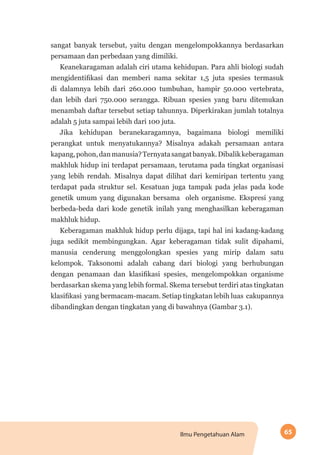 65Ilmu Pengetahuan Alam
sangat banyak tersebut, yaitu dengan mengelompokkannya berdasarkan
persamaan dan perbedaan yang dimiliki.
Keanekaragaman adalah ciri utama kehidupan. Para ahli biologi sudah
mengidentifikasi dan memberi nama sekitar 1,5 juta spesies termasuk
di dalamnya lebih dari 260.000 tumbuhan, hampir 50.000 vertebrata,
dan lebih dari 750.000 serangga. Ribuan spesies yang baru ditemukan
menambah daftar tersebut setiap tahunnya. Diperkirakan jumlah totalnya
adalah 5 juta sampai lebih dari 100 juta.
Jika kehidupan beranekaragamnya, bagaimana biologi memiliki
perangkat untuk menyatukannya? Misalnya adakah persamaan antara
kapang,pohon,danmanusia?Ternyatasangatbanyak.Dibalikkeberagaman
makhluk hidup ini terdapat persamaan, terutama pada tingkat organisasi
yang lebih rendah. Misalnya dapat dilihat dari kemiripan tertentu yang
terdapat pada struktur sel. Kesatuan juga tampak pada jelas pada kode
genetik umum yang digunakan bersama oleh organisme. Ekspresi yang
berbeda-beda dari kode genetik inilah yang menghasilkan keberagaman
makhluk hidup.
Keberagaman makhluk hidup perlu dijaga, tapi hal ini kadang-kadang
juga sedikit membingungkan. Agar keberagaman tidak sulit dipahami,
manusia cenderung menggolongkan spesies yang mirip dalam satu
kelompok. Taksonomi adalah cabang dari biologi yang berhubungan
dengan penamaan dan klasifikasi spesies, mengelompokkan organisme
berdasarkan skema yang lebih formal. Skema tersebut terdiri atas tingkatan
klasifikasi yang bermacam-macam. Setiap tingkatan lebih luas cakupannya
dibandingkan dengan tingkatan yang di bawahnya (Gambar 3.1).
 