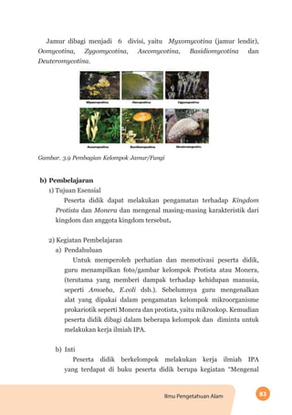 83Ilmu Pengetahuan Alam
Jamur dibagi menjadi 6 divisi, yaitu  Myxomycotina (jamur lendir),
Oomycotina, Zygomycotina, Ascomycotina, Basidiomycotina dan
Deuteromycotina.
Gambar. 3.9 Pembagian Kelompok Jamur/Fungi
b) Pembelajaran
1) Tujuan Esensial
Peserta didik dapat melakukan pengamatan terhadap Kingdom
Protista dan Monera dan mengenal masing-masing karakteristik dari
kingdom dan anggota kingdom tersebut.
2) Kegiatan Pembelajaran
a) Pendahuluan
Untuk memperoleh perhatian dan memotivasi peserta didik,
guru menampilkan foto/gambar kelompok Protista atau Monera,
(terutama yang memberi dampak terhadap kehidupan manusia,
seperti Amoeba, E.coli dsb.). Sebelumnya guru mengenalkan
alat yang dipakai dalam pengamatan kelompok mikroorganisme
prokariotik seperti Monera dan protista, yaitu mikroskop. Kemudian
peserta didik dibagi dalam beberapa kelompok dan diminta untuk
melakukan kerja ilmiah IPA.
b) Inti
Peserta didik berkelompok melakukan kerja ilmiah IPA
yang terdapat di buku peserta didik berupa kegiatan “Mengenal
 
