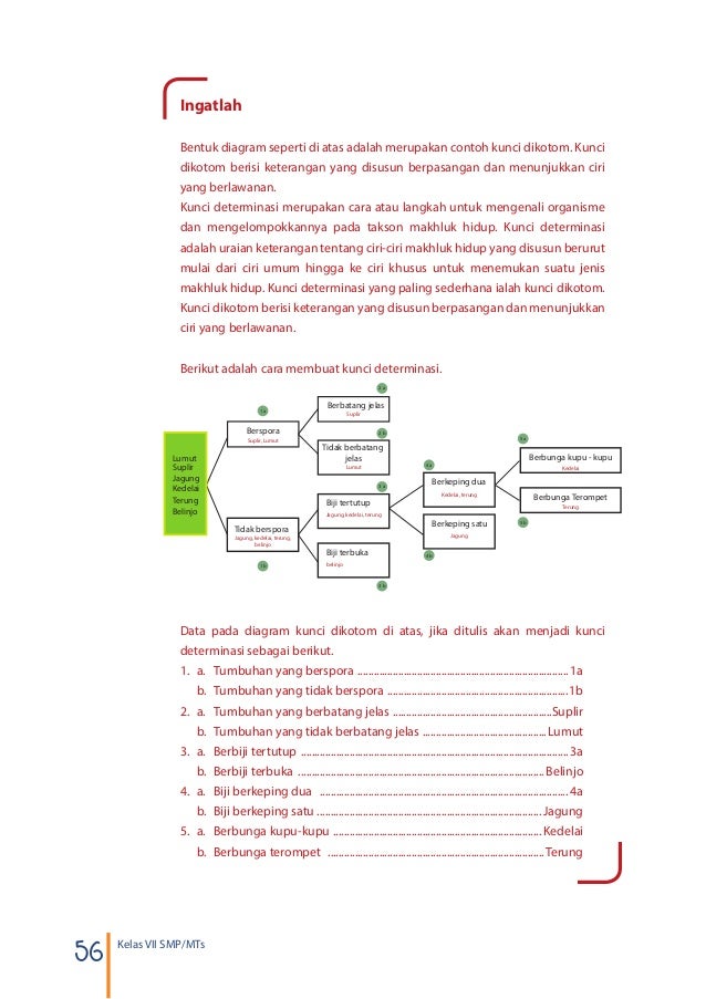 7 ipa buku siswa