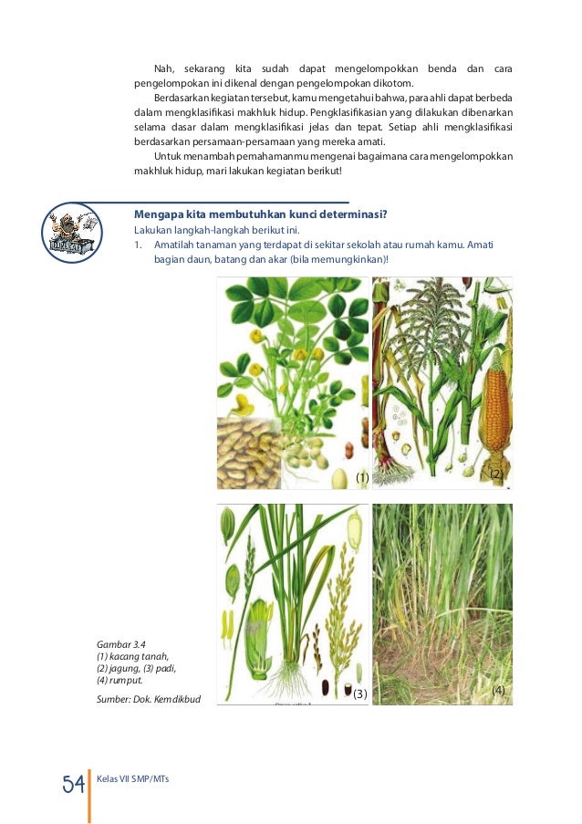 BUKU  SISWA IPA SMP KELAS 7