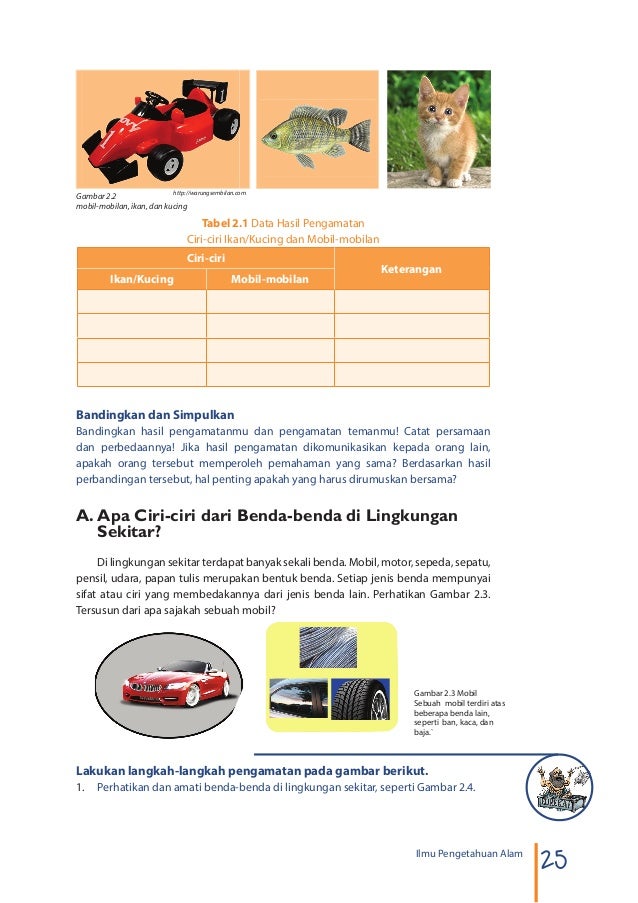 Ciri Ciri Ikan Atau Kucing Mobil Mobilan Keterangan Ini Cirinya