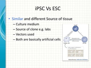 iPSC Vs ESC
• Similar and different Source of tissue
– Culture medium
– Source of clone e.g. labs
– Vectors used
– Both are basically artificial cells
 