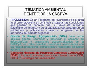 TEMATICA AMBIENTAL
DENTRO DE LA SAGPYA
• PRODERNEA: Es un Programa de inversiones en el área
rural cuyo propósito es contribuir a superar las condiciones
que generan la pobreza rural, a través del aumento
sostenible del ingreso y de la capacidad de autogestión de
pobladoras y pobladores rurales e indígenas de las
provincias del noreste argentino.
• Oficina de Riesgo Agropecuario (ORA) tiene como
objetivo general coordinar y potenciar el accionar de
dependencias y organismos descentralizados de la
SAGPyA, en todas aquellas cuestiones relacionadas con
los riesgos productivos, comerciales y financieros del sector
agrícola.
• Comisión Nacional de Recursos Genéticos CONARGEN
(2005): Es una comisión asesora en temas como CDB,
TRFG, y Estrategia en Biodiversidad
 