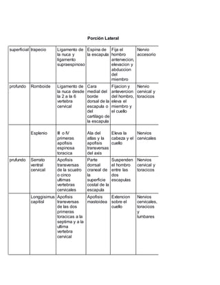 Porción Lateral
superficial trapecio Ligamento de
la nuca y
ligamento
supraespinoso
Espina de
la escapula
Fija el
hombro
antervecion,
elevacion y
abduccion
del
miembro
Nervio
accesorio
profundo Romboide Ligamento de
la nuca desde
la 2 a la 6
vertebra
cervical
Cara
medial del
borde
dorsal de la
escapula o
del
cartilago de
la escapula
Fijacion y
antevercion
del hombro,
eleva el
miembro y
el cuello
Nervio
cervical y
toracicos
Esplenio III o IV
primeras
apofisis
espinosa
toracica
Ala del
atlas y la
apofisis
transversas
del axis
Eleva la
cabeza y el
cuello
Nervios
cervicales
prufundo Serrato
ventral
cervical
Apofisis
transversas
de la scuatro
o cinco
ultimas
vertebras
cervicales
Parte
dorrsal
craneal de
la
superficie
costal de la
escapula
Suspenden
el hombro
entre las
dos
escapulas
Nervios
cervical y
toracicos
Longgisimus
capitisl
Apofisis
transversas
de las dos
primeras
toracicas a la
septima y a la
ultima
vertebra
cervical
Apofisis
mastoidea
Extencion
sobre el
cuello
Nervios
cervicales,
toracicos
y
lumbares
 