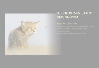 3. FOKUS DAN LARUT 
SEPENUHNYA 
- Fokus dan Larut 100% 
Keyakinan yang kuat menyebabkan anda 
mencurahkan segenap energi dan 
sumberdaya. 
Mengerahkan segala kemampuan 
 