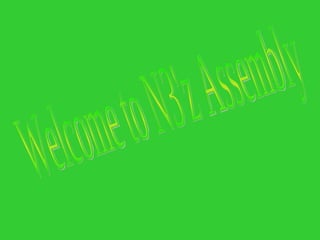 Welcome to N3'z Assembly 