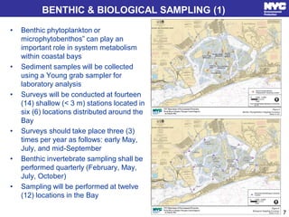 BENTHIC & BIOLOGICAL SAMPLING (1)
• Benthic phytoplankton or
microphytobenthos” can play an
important role in system metab...