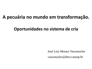 A pecuária no mundo em transformação.
Oportunidades no sistema de cria
José Luiz Moraes Vasconcelos
vasconcelos@fmvz.unesp.br
 