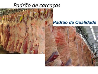 Padrão de carcaças
Padrão de Qualidade
 