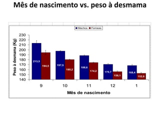 Mês de nascimento vs. peso à desmama
213,5
197,5
188,6
170,7 168,4
194,5
180,2
174,2
156,1 152,6
140
150
160
170
180
190
200
210
220
230
9 10 11 12 1
Mês de nascimento
Pesoàdesmama(Kg)
Machos Femeas
*Dados referentes a 6.000 bezerros desmamados no MS
 