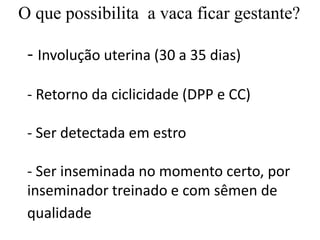 - Involução uterina (30 a 35 dias)
- Retorno da ciclicidade (DPP e CC)
- Ser detectada em estro
- Ser inseminada no momento certo, por
inseminador treinado e com sêmen de
qualidade
O que possibilita a vaca ficar gestante?
 