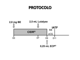PROTOCOLO
RB
eCG
IATF
2,5 mL Lutalyse®
2,0 mg BE
CIDR®
0,25 mL ECP®
D0 D9D7 D11
 