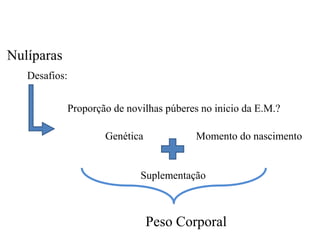 Nulíparas
Proporção de novilhas púberes no inicio da E.M.?
Genética
Desafios:
Momento do nascimento
Suplementação
Peso Corporal
 