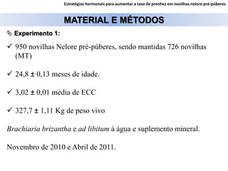 MATERIAL E MÉTODOS
Estratégias hormonais para aumentar a taxa de prenhez em novilhas nelore pré-púberes
 950 novilhas Nelore pré-púberes, sendo mantidas 726 novilhas
(MT)
 24,8 ± 0,13 meses de idade.
 3,02 ± 0,01 média de ECC
 327,7 ± 1,11 Kg de peso vivo
Brachiaria brizantha e ad libitum à água e suplemento mineral.
Novembro de 2010 e Abril de 2011.
 Experimento 1:
 
