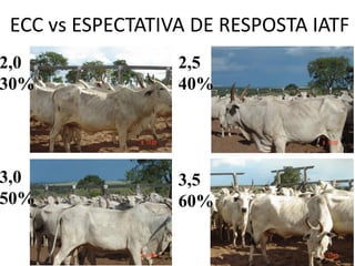 ECC vs ESPECTATIVA DE RESPOSTA IATF
2,0
30%
2,5
40%
3,0
50%
3,5
60%
 
