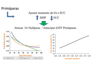 10
20
30
40
50
60
70
80
2,00 2,25 2,50 2,75 3,00 3,25 3,50 3,75 4,00
Condição Corporal
TaxadeConcepção(%)2,75
3,00
3,25
3,50
3,75
30 40 50 60 70 80 90 100
Dias Pós-Parto
CondiçãoCorporal
Nelore Faz. 1 1/2 Red Angus Faz. 1 Nelore Faz. 2
Primíparas
Ajustar momento da IA e ECC
DDP ECC
Atrasar IA Nulíparas / Antecipar IATF Primíparas
 