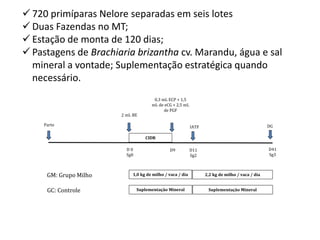 IATF
D 0
Sg0
2 mL BE
0,3 mL ECP + 1,5
mL de eCG + 2,5 mL
de PGF
D9
CIDR
D11
Sg2
D41
Sg3
1,0 kg de milho / vaca / dia 2,2 kg de milho / vaca / diaGM: Grupo Milho
Suplementação Mineral Suplementação MineralGC: Controle
DGParto
 720 primíparas Nelore separadas em seis lotes
 Duas Fazendas no MT;
 Estação de monta de 120 dias;
 Pastagens de Brachiaria brizantha cv. Marandu, água e sal
mineral a vontade; Suplementação estratégica quando
necessário.
 
