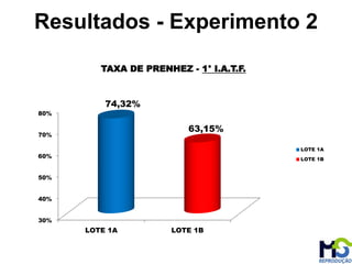 Resultados - Experimento 2
30%
40%
50%
60%
70%
80%
LOTE 1A LOTE 1B
74,32%
63,15%
TAXA DE PRENHEZ - 1° I.A.T.F.
LOTE 1A
LOTE 1B
 
