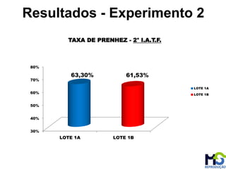 30%
40%
50%
60%
70%
80%
LOTE 1A LOTE 1B
63,30% 61,53%
TAXA DE PRENHEZ - 2° I.A.T.F.
LOTE 1A
LOTE 1B
Resultados - Experimento 2
 