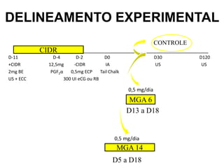 DELINEAMENTO EXPERIMENTAL
CIDR
MGA 6
MGA 14
CONTROLE
0,5 mg/dia
0,5 mg/dia
D-11 D-4 D-2 D0 D30 D120
+CIDR 12,5mg -CIDR IA US US
2mg BE PGF2α 0,5mg ECP Tail Chalk
US + ECC 300 UI eCG ou RB
D13 a D18
D5 a D18
 