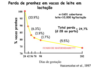 Dias de gestação
Perda de prenhez em vacas de leite em
lactação
Vasconcelos et al., 1997
70
75
80
85
90
95
100
%vacasprenhes
28 42 56 70 98 282
(10.9%)
(6.3%)
(1.9%)
(1.7%)
(5.5%)
n=1601 coberturas
leite>10,000 kg/lactação
Total perda
(d 28 ao parto)
= 24,7%
FUNDO DE MATERNIDADE????
 