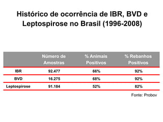 Histórico de ocorrência de IBR, BVD e
Leptospirose no Brasil (1996-2008)
Fonte: Probov
Número de
Amostras
% Animais
Positivos
% Rebanhos
Positivos
IBR 92.477 66% 92%
BVD 16.275 68% 92%
Leptospirose 91.184 52% 82%
 