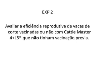 EXP 2
Avaliar a eficiência reprodutiva de vacas de
corte vacinadas ou não com Cattle Master
4+L5® que não tinham vacinação previa.
 
