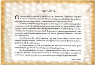 Abelhas sem ferrão no RS