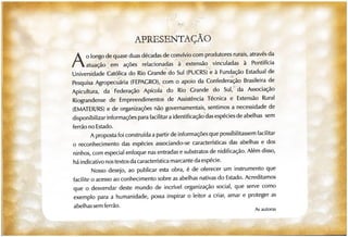 Abelhas sem ferrão no RS