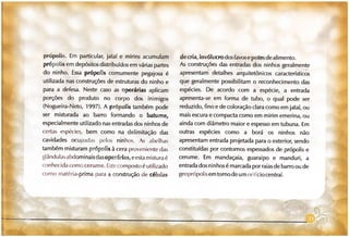 Abelhas sem ferrão no RS