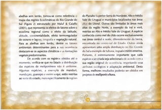 Abelhas sem ferrão no RS