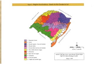 Abelhas sem ferrão no RS