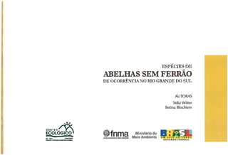 Abelhas sem ferrão no RS