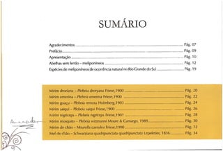 Abelhas sem ferrão no RS