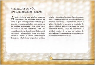 Abelhas sem ferrão no RS