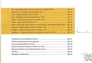 Abelhas sem ferrão no RS