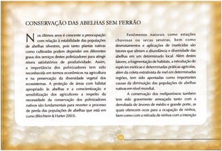 Abelhas sem ferrão no RS