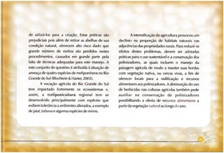 Abelhas sem ferrão no RS