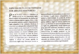 Abelhas sem ferrão no RS