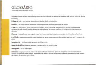 Abelhas sem ferrão no RS